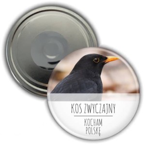 Magnes pamiątkowy okrągły 56mm | Polska | Kos Zwyczajny