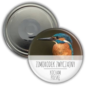 e0364 Polska_Zimorodek zwyczajny magnes 56mm.jpg