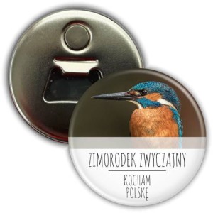 e0364mo Polska_Zimorosek zwyczajny magnes z otwieraczem.jpg