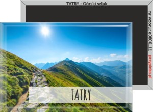 Magnes prostokątny | Tatry | Górski szlak