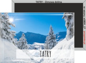 Magnes prostokątny | Tatry | Zimowa dolina