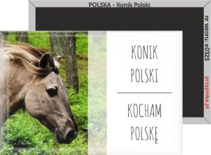 e0325 Polska_Konik Polski magnes prostokątny.jpg